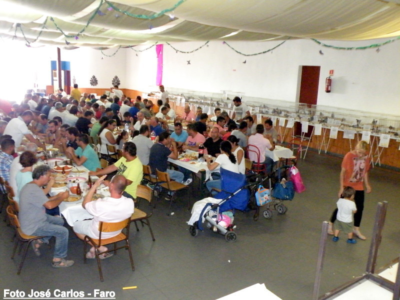 Leilão Ervidel 2017 002.JPG