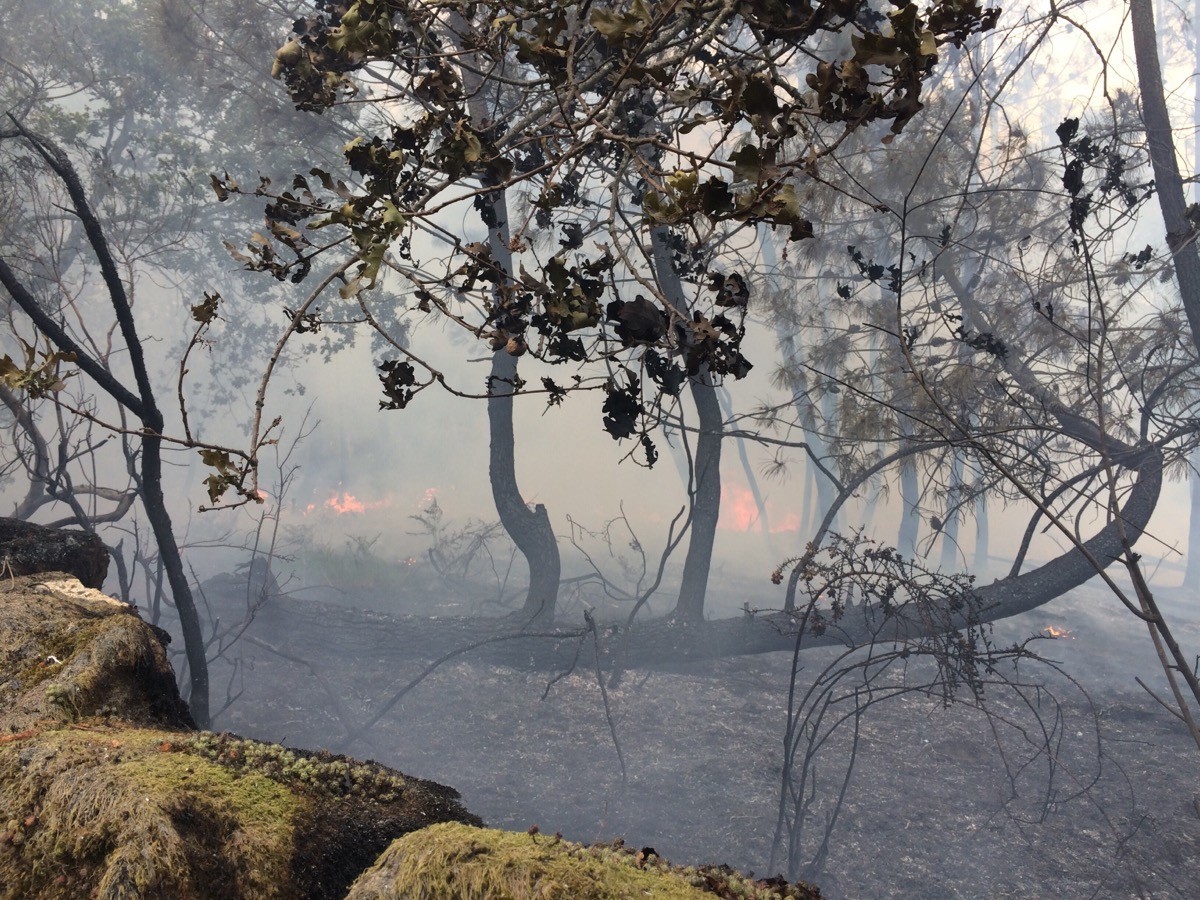 imgpsh_fullsize (6).jpg