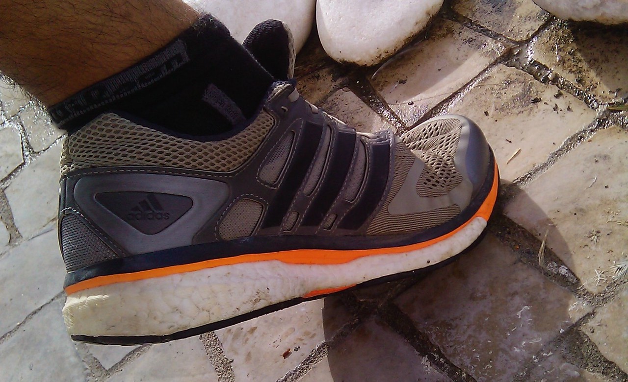 IMG_20141111_095449.jpg IMG_20141111_095449.jpg