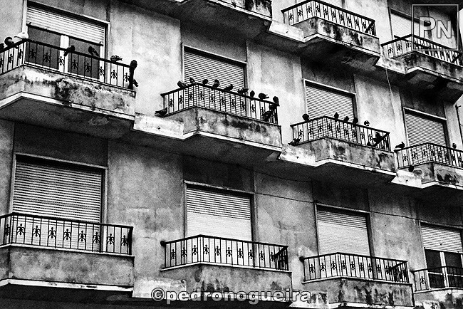 Jun_2018_074a 3_2 650px.jpg