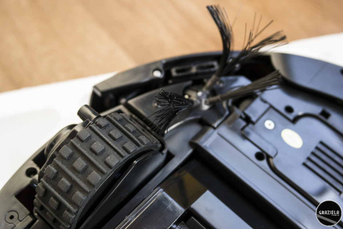 Pequenas-5.JPG Pequenas-5.JPG