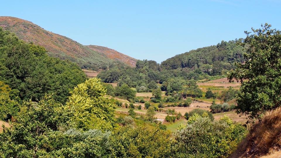 21271017_1786165624730189_5877131431426200204_n.jp