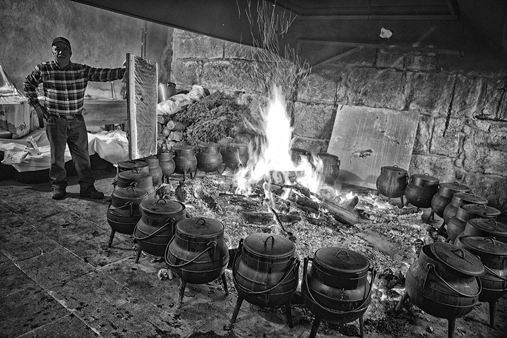 _JMF8540 - Cópia.jpg