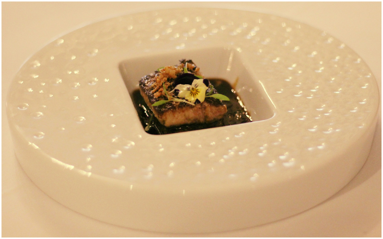 Sal Poente & Moliceiro