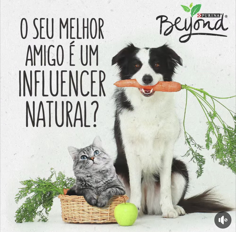 B3447CAE-EE9D-4D27-ABE8-59B2D059C40F.jpeg B3447CAE-EE9D-4D27-ABE8-59B2D059C40F.jpeg