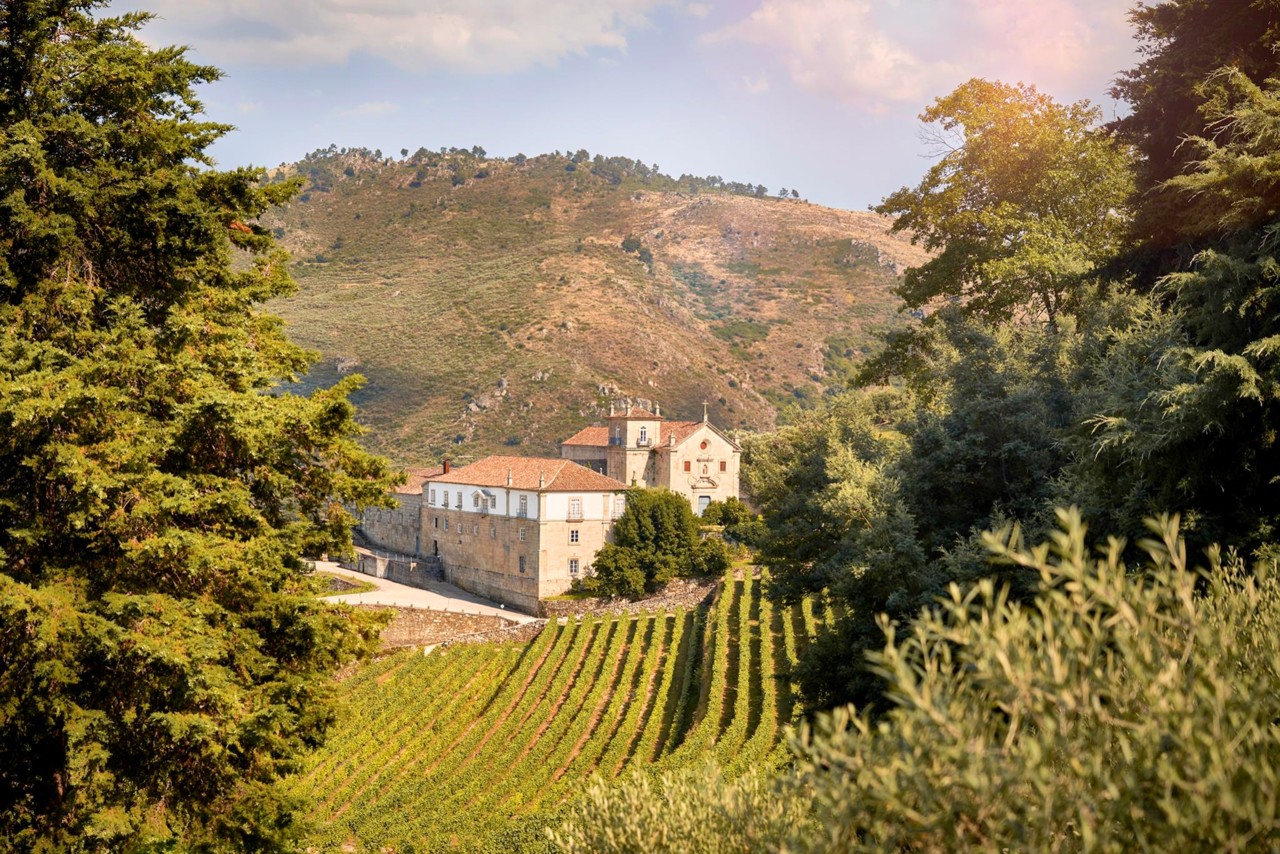 Quinta do Convento Branco 2019