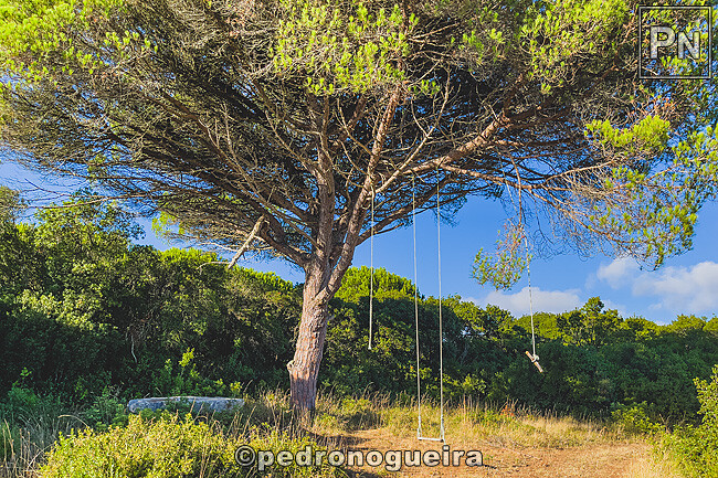 Set_2025_080 650px.jpg