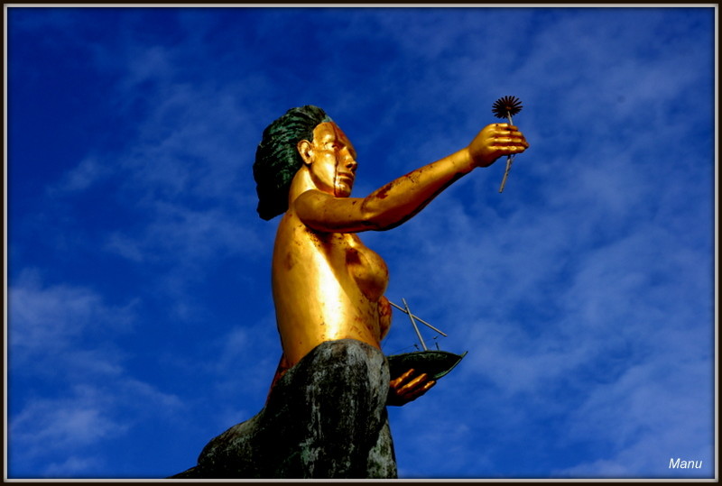 IMG_4423.JPG IMG_4423.JPG