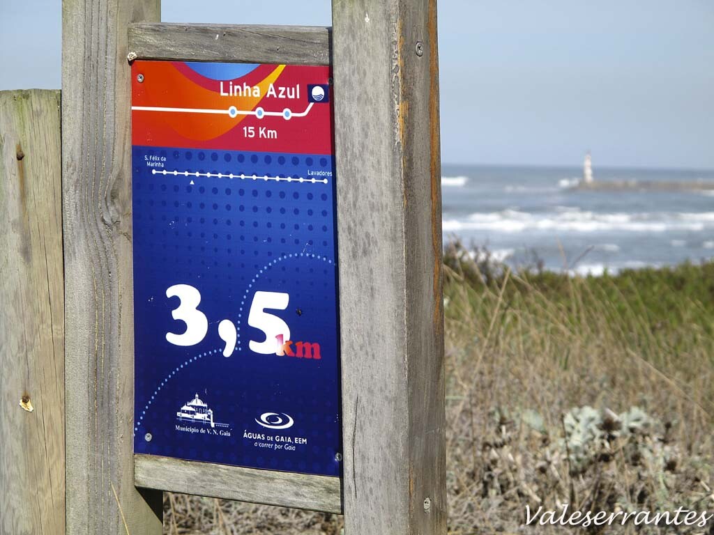 IMG_4132.jpg