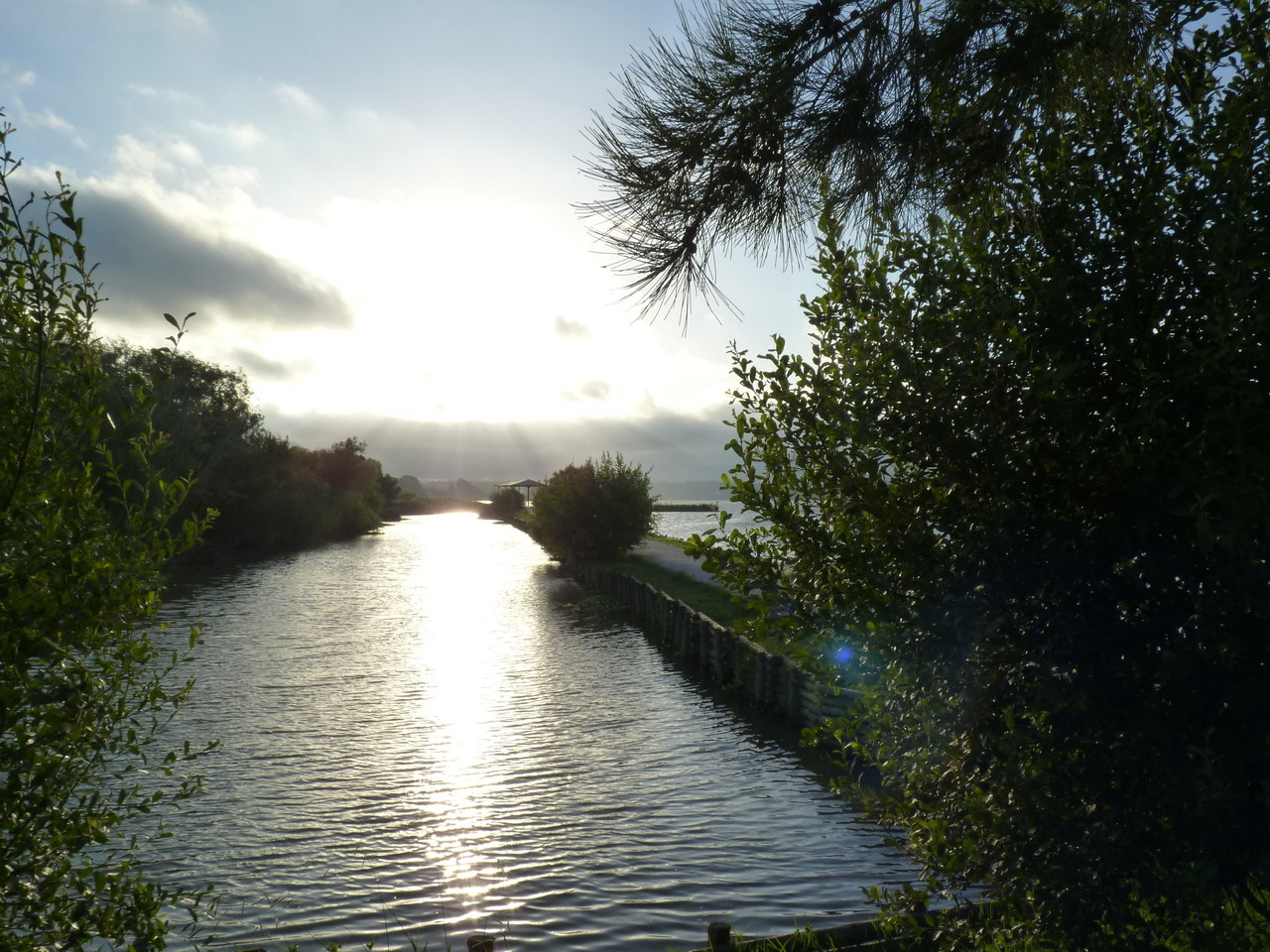 Pateira de Fermentelos (4).JPG