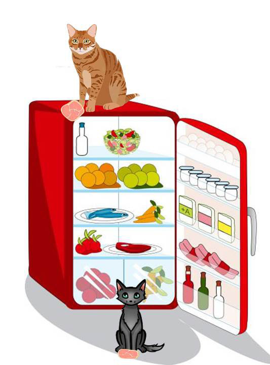 fiambrehora.jpg fiambrehora.jpg