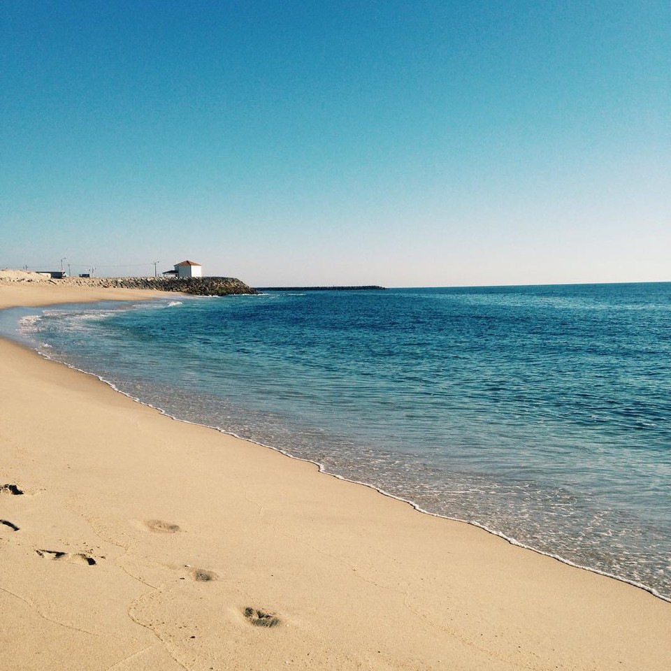 11732035_10207682009718075_1621921445097463994_o.j