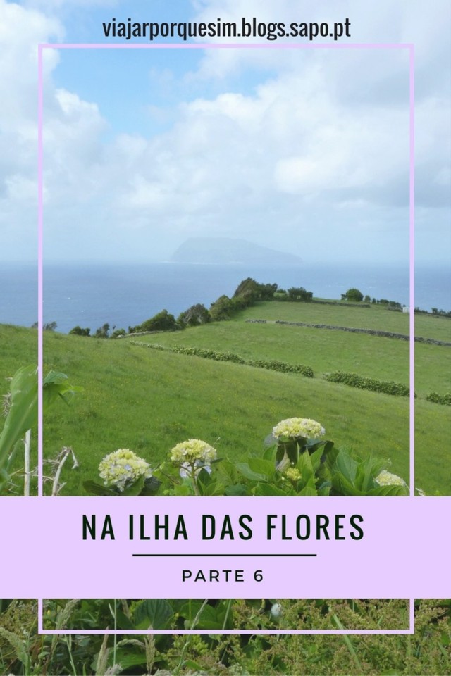 Na Ilha das Flores - parte 6.jpg