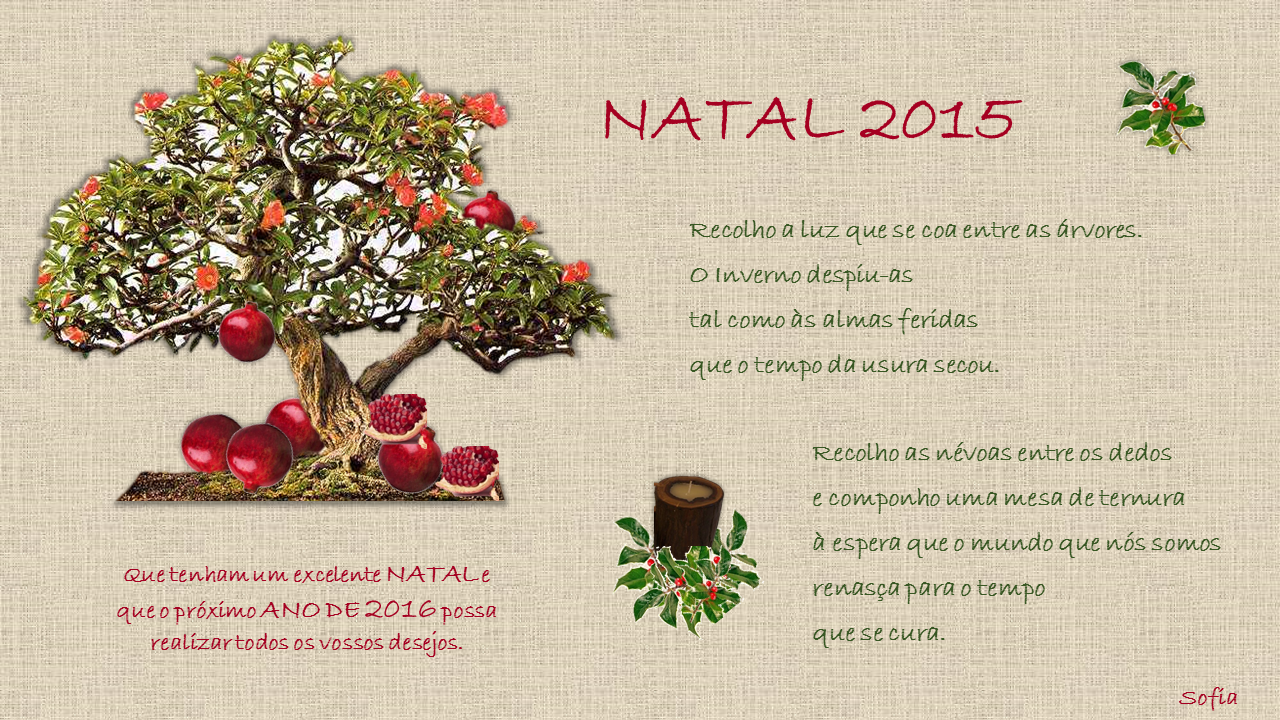 NATAL 2015.png