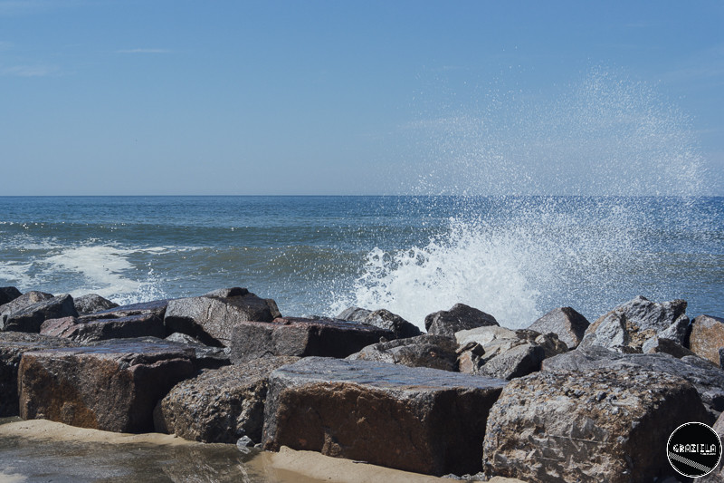 Espinho_Pequenas-8311.JPG Espinho_Pequenas-8311.JPG