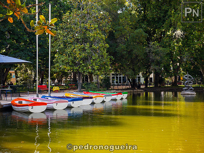 Mai_2023_049 650px.jpg