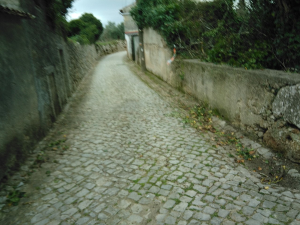 IMG_20170225_164402.jpg IMG_20170225_164402.jpg