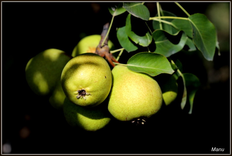 IMG_1520.JPG IMG_1520.JPG