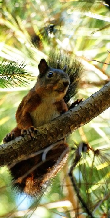 44615_1525212606171_618189_n.jpg 44615_1525212606171_618189_n.jpg