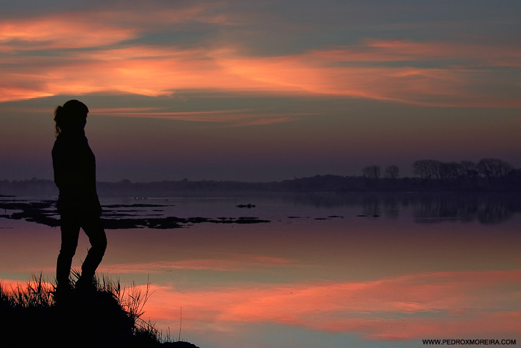 2763601.jpg 2763601.jpg