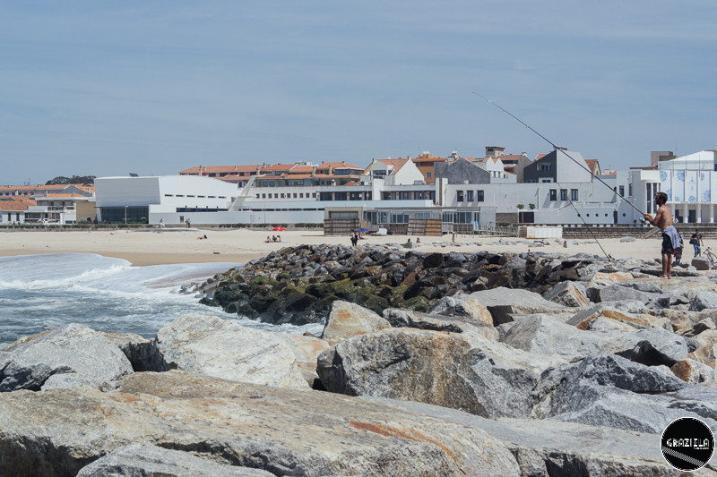 Espinho_Pequenas-8300.JPG Espinho_Pequenas-8300.JPG