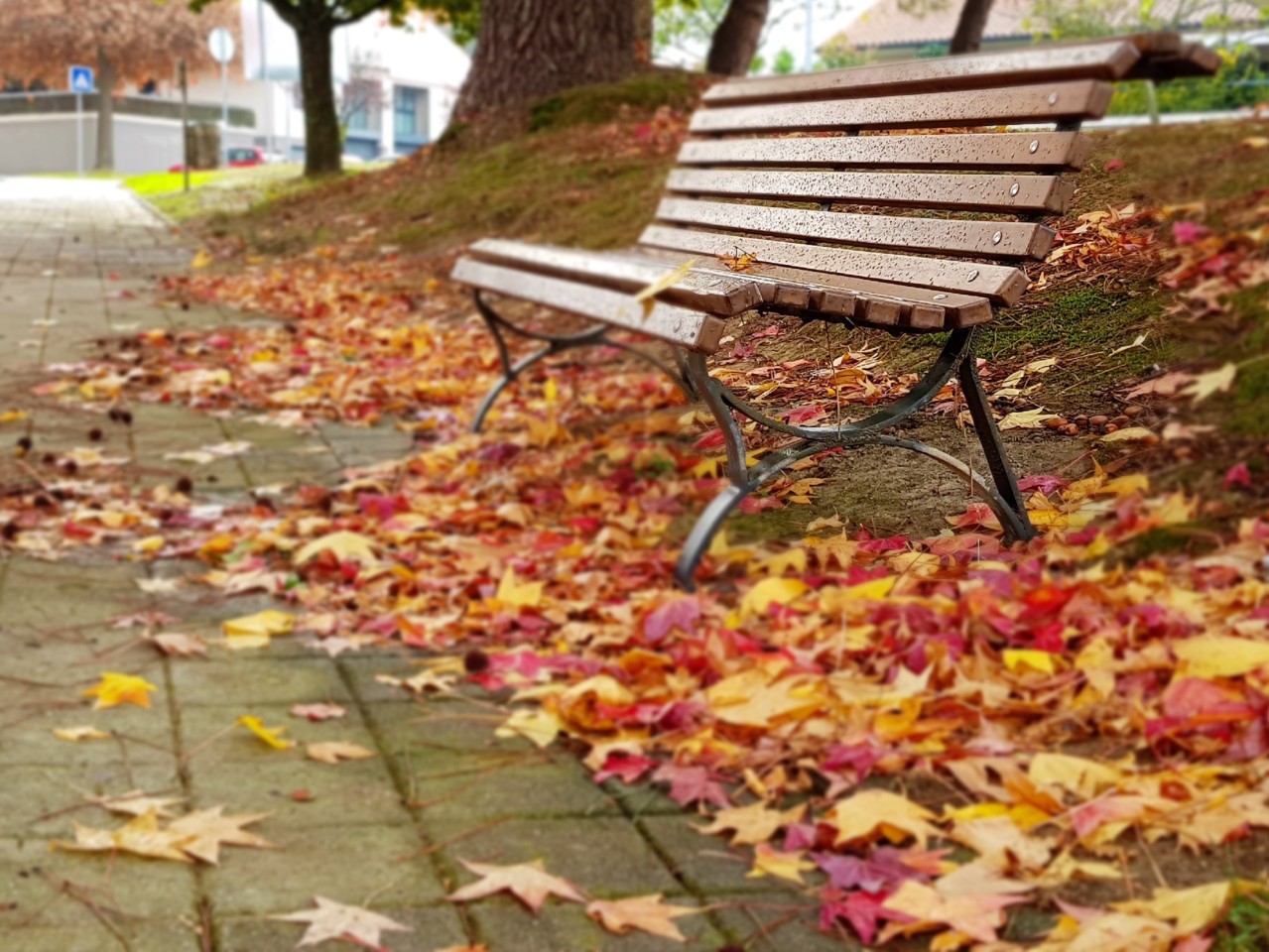 20171123_145136.jpg 20171123_145136.jpg