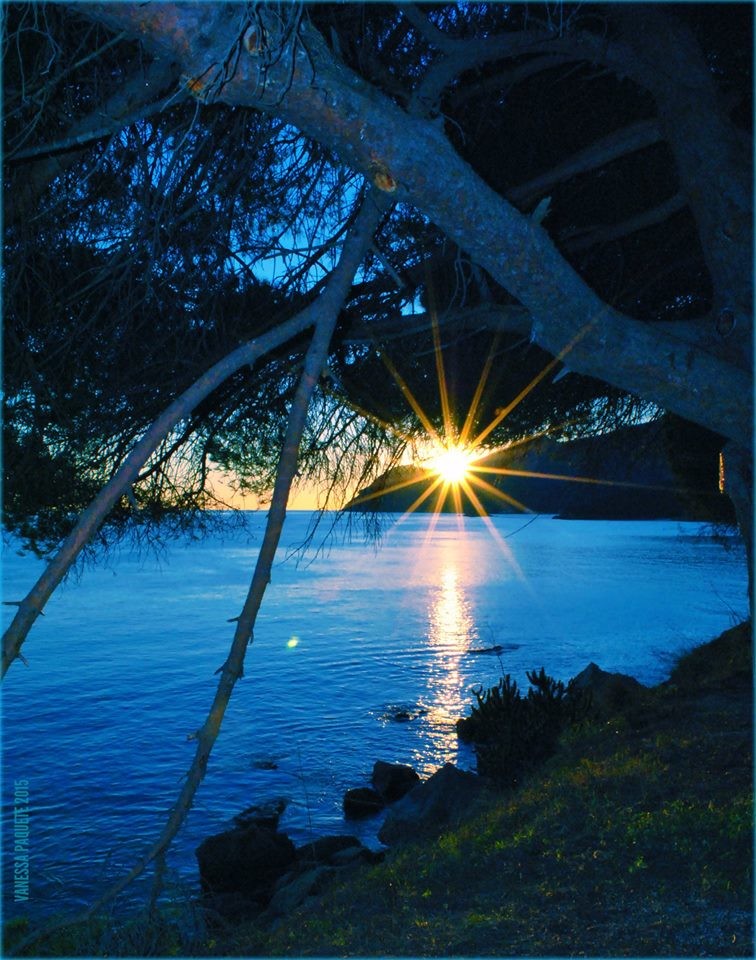 12279245_958465714191693_7802371360541899298_n.jpg 12279245_958465714191693_7802371360541899298_n.jpg