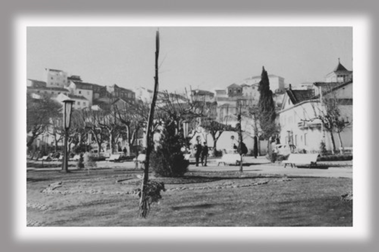 740.......500x500 (13).png 740.......500x500 (13).png