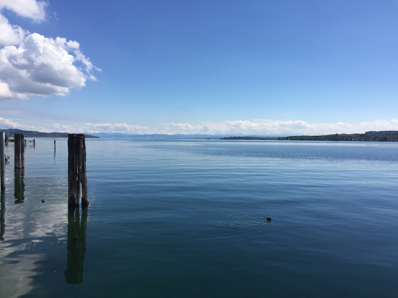 IMG_2885.JPG IMG_2885.JPG