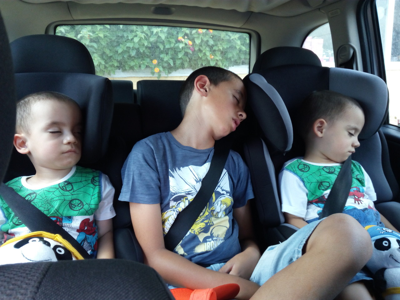 IMG_20170706_163659.jpg IMG_20170706_163659.jpg