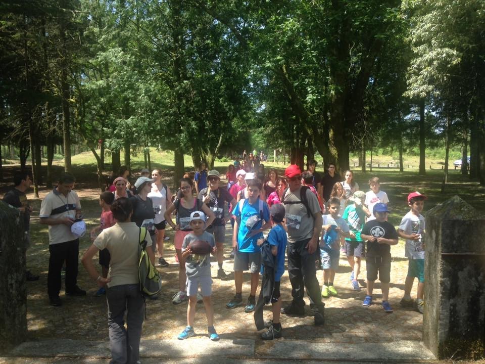 13529132_1233812033303204_3021208749227541801_n.jp