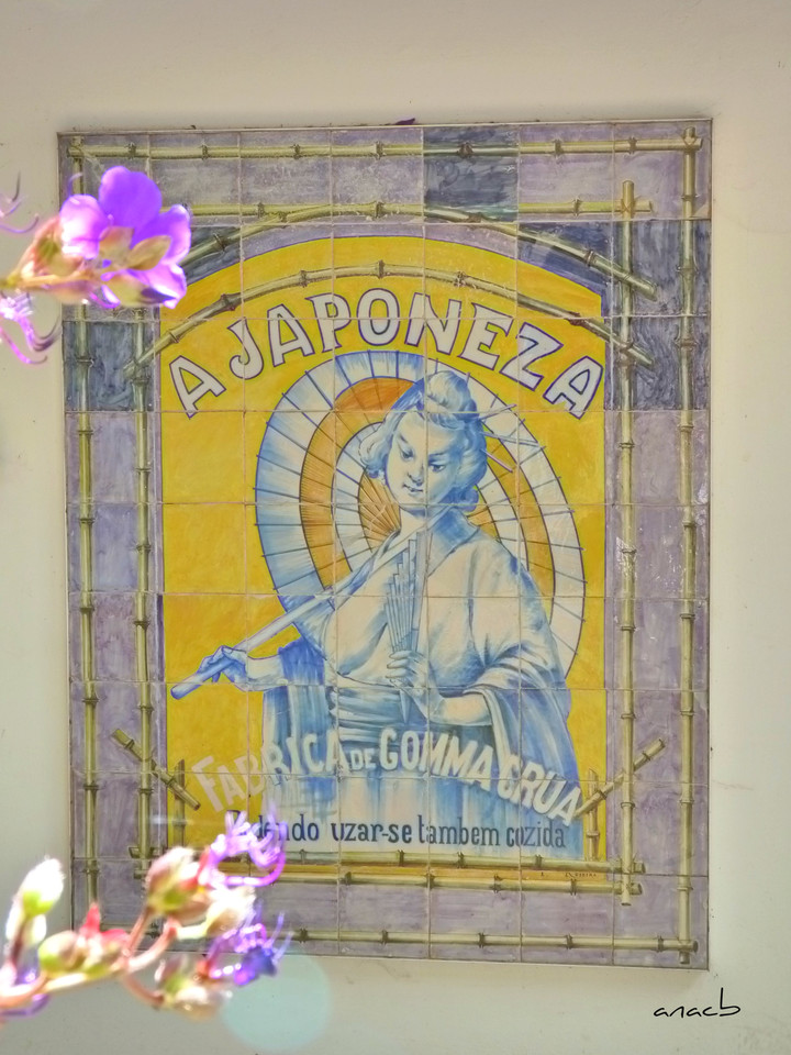 Funchal - Jardins Monte Palace (999) cópia assin.