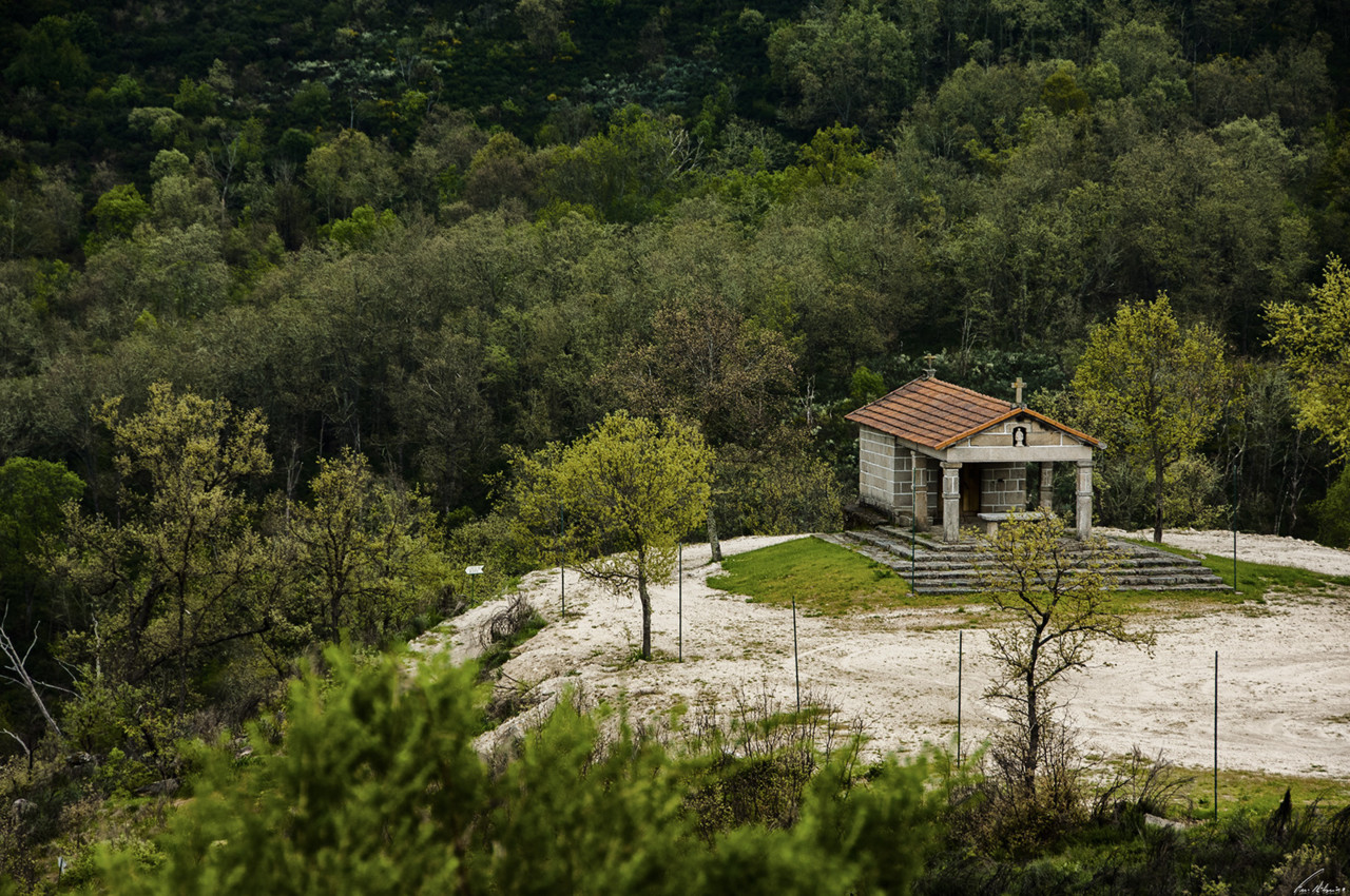 1600-olas (87).jpg 1600-olas (87).jpg