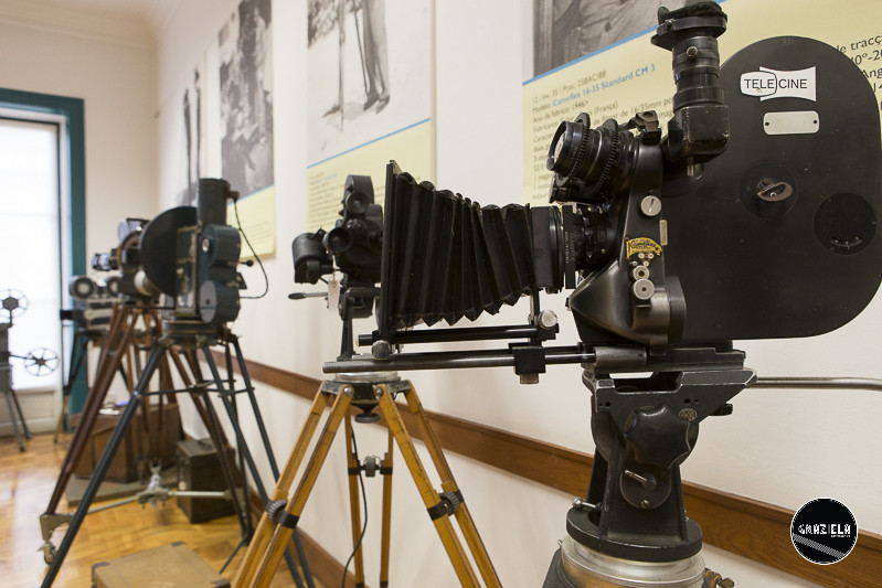 ANIM-6480.jpg ANIM-6480.jpg