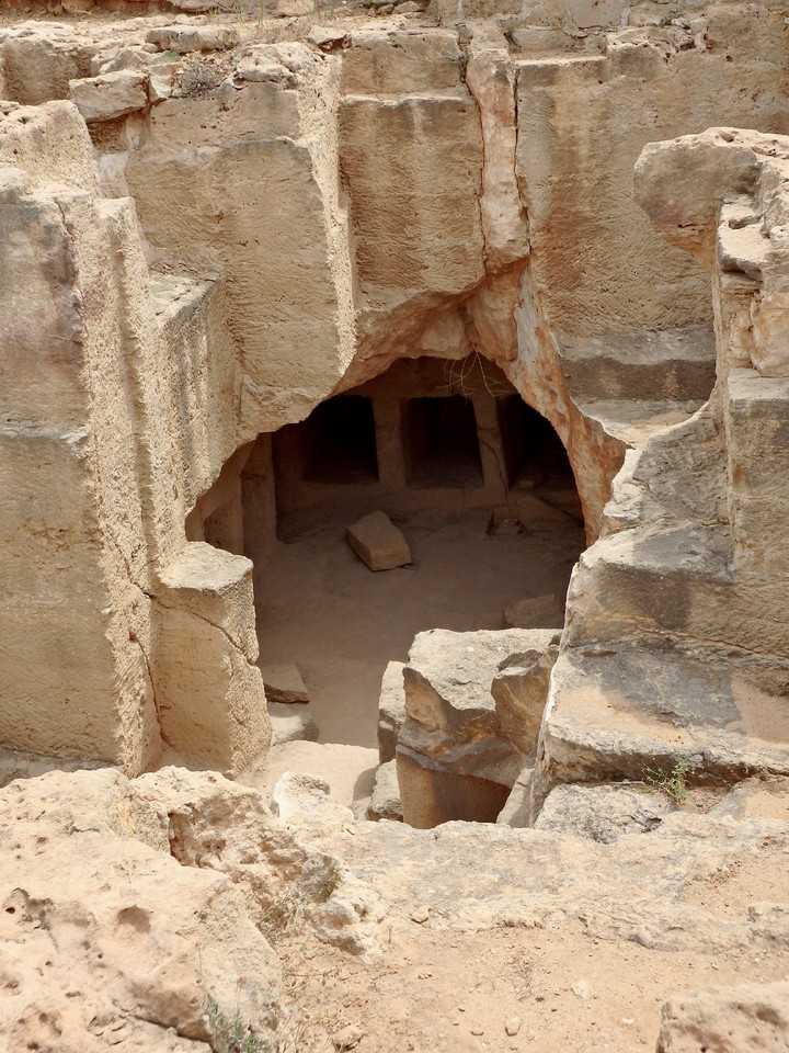 fullsizeoutput_144d.jpeg fullsizeoutput_144d.jpeg