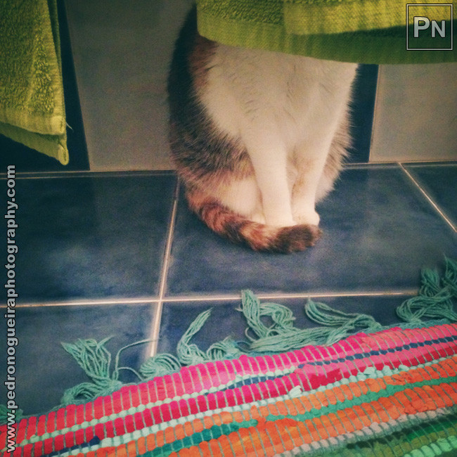 Jan_2016_023a 650px Jan_2016_023a 650px