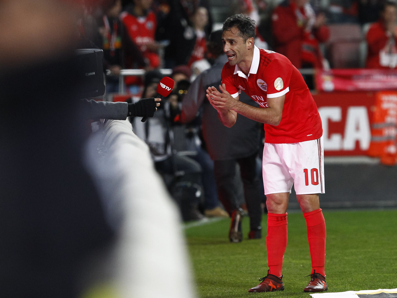 _JPT8942.jpg _JPT8942.jpg