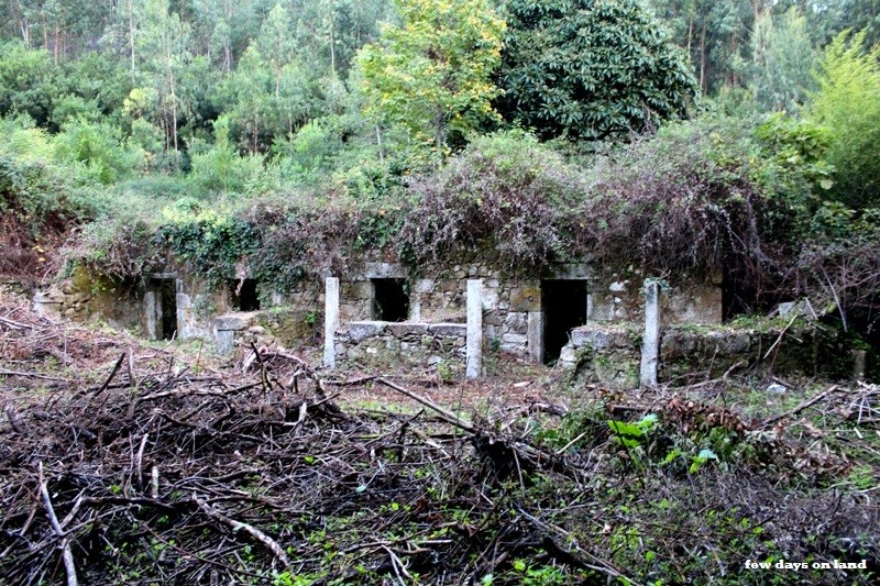 convento_sao_francisco (13).JPG