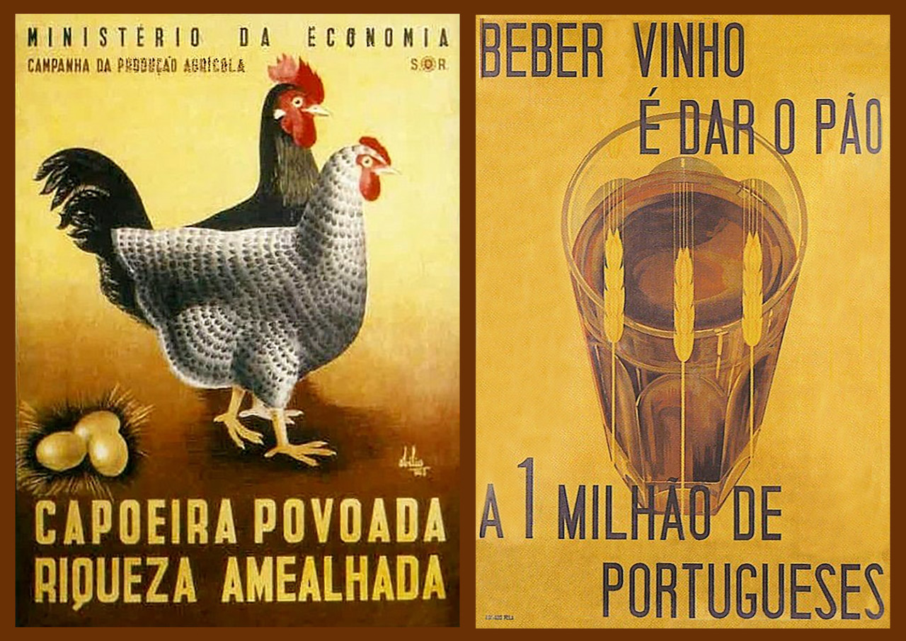 19-1600-Campanha agricola.jpg