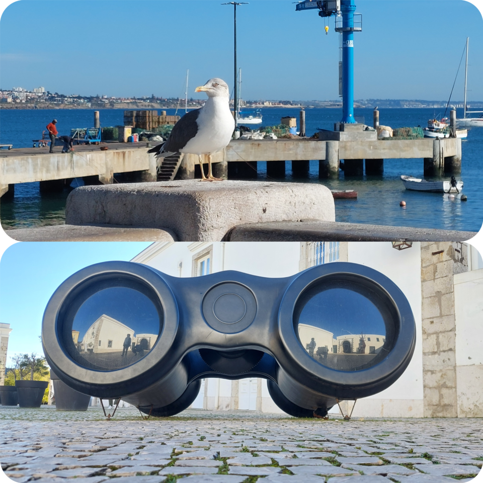 Blank 2 Grids Collage.png