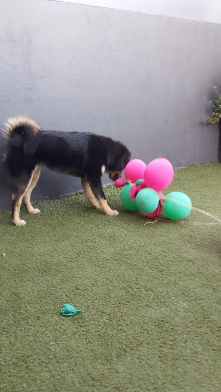 Nao_me_canso_disto_FimFesta5.jpg Nao_me_canso_disto_FimFesta5.jpg