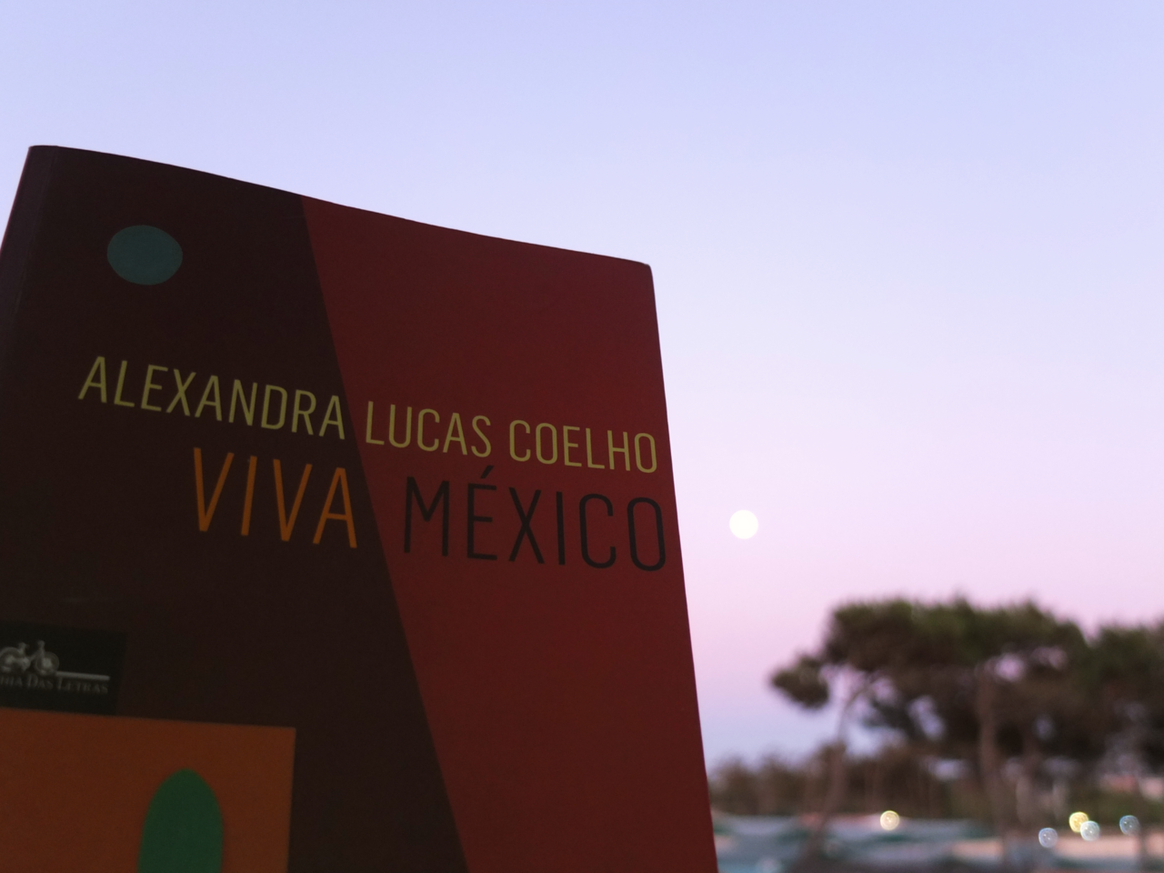 viva-méxico-mar-maio.png viva-méxico-mar-maio.png