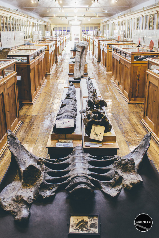 Museu_Geologico_de_Lisboa-016995.jpg