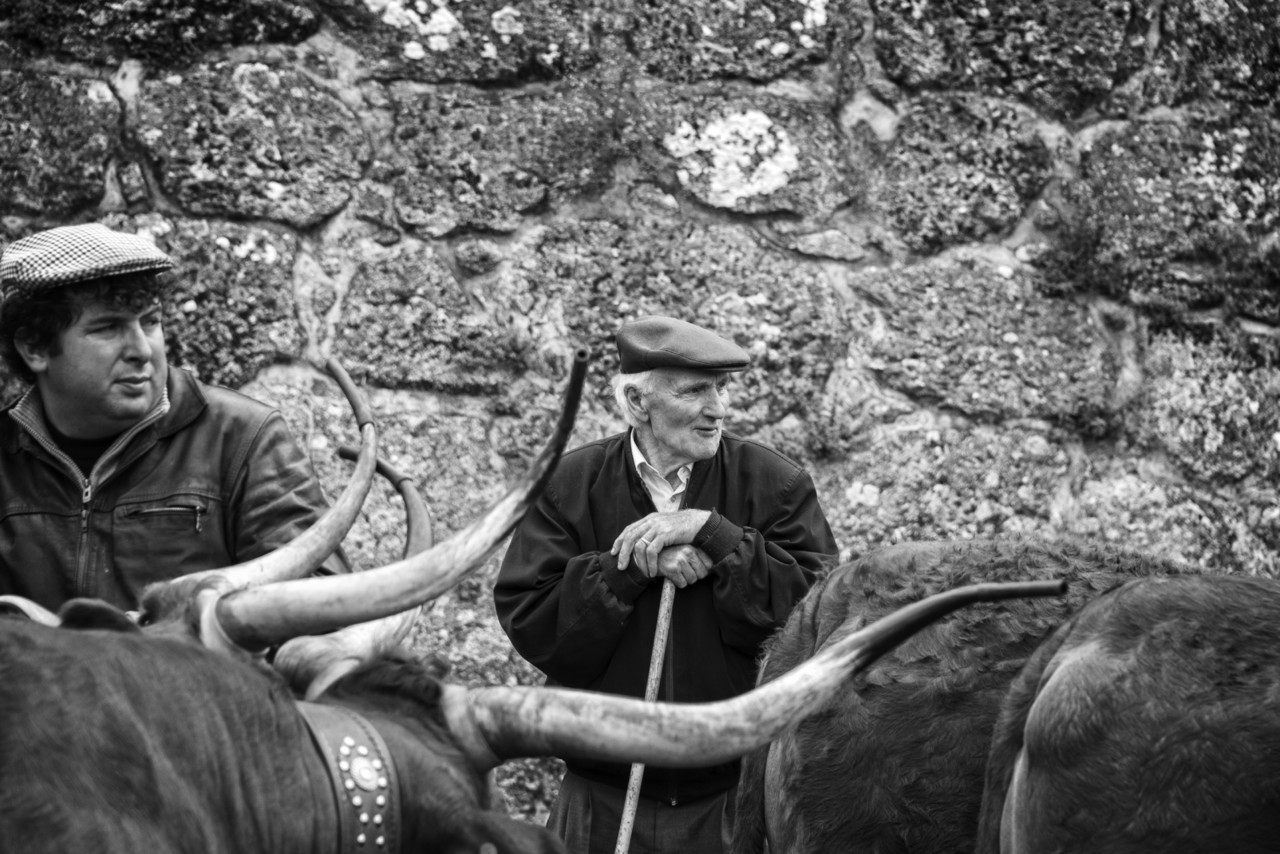 Santos 2015 (1) 261 - cópia copy.jpg