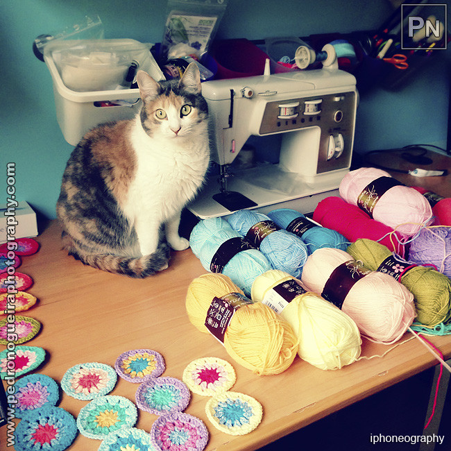 Fev_2016_006a with noise reduction 650px