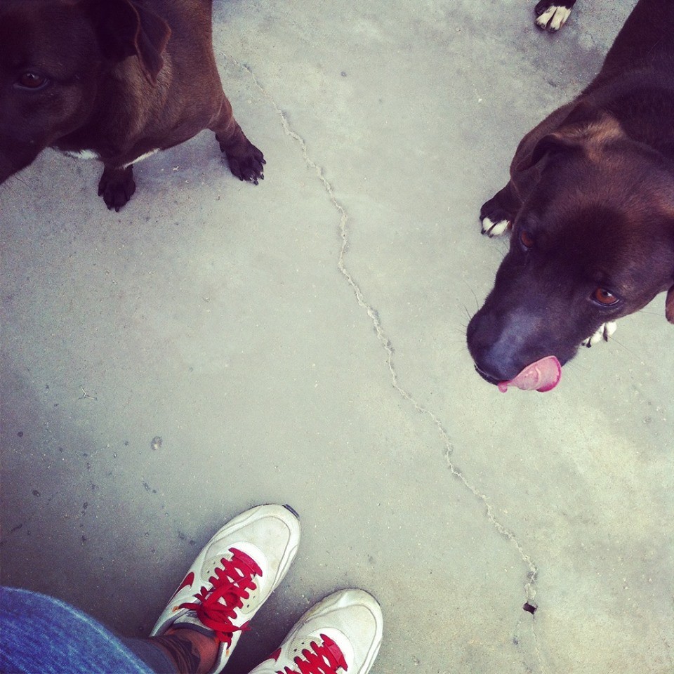 10154357_10207632987475047_6378965449577053258_n.j