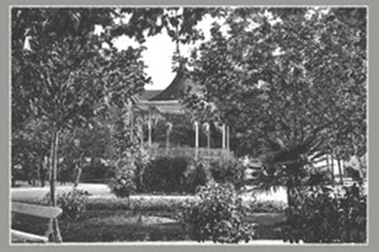 740.......500x500 (4).png 740.......500x500 (4).png