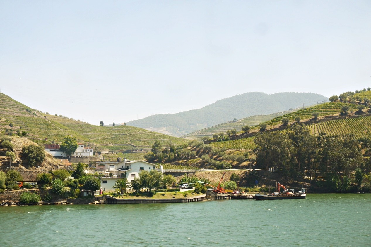 Linha do douro4.JPG