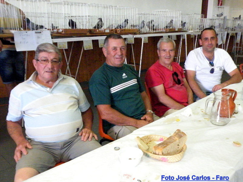 Leilão Ervidel 2017 079.JPG