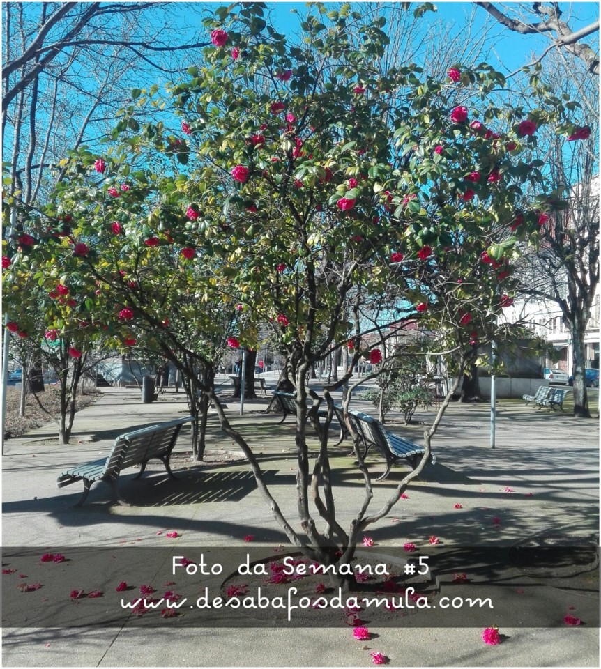 1517767567122.jpg 1517767567122.jpg